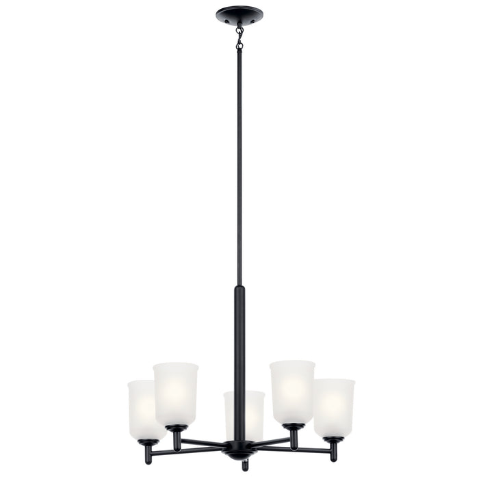 Shailene Five Light Chandelier in Black