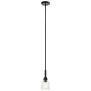 Aivian One Light Mini Pendant in Black