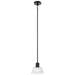 Eastmont One Light Mini Pendant in Black