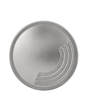Flare Quad-Directional LED Well Light in Stainless Steel