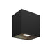 LED Wall Sconce in Black