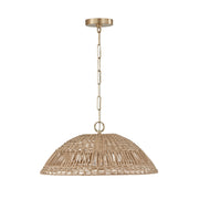 Naomi One Light Pendant in Matte Brass