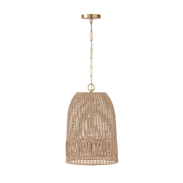 Naomi One Light Pendant in Matte Brass