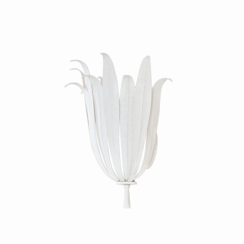 Eden One Light Wall Sconce in Textured White