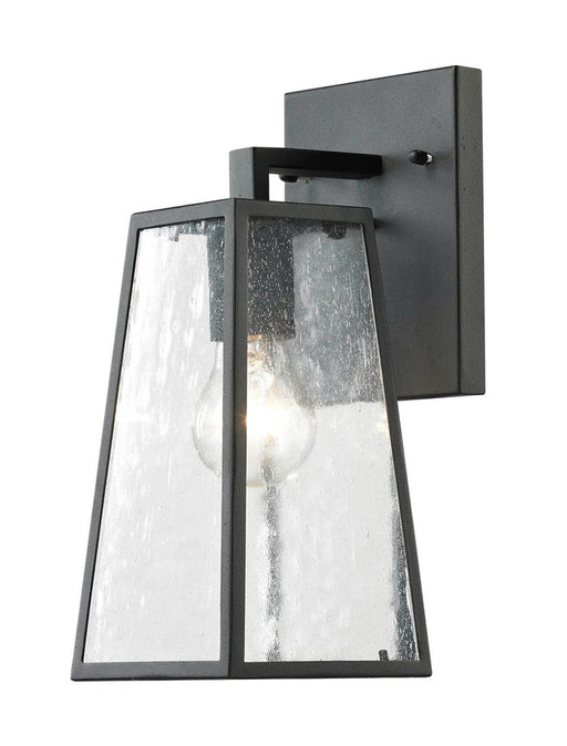 Osmond 1-Light Outdoor Wall Light in Matte Black