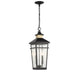 Kingsley Two Light Outdoor Hanging Lantern in Matte Black with Warm Brass