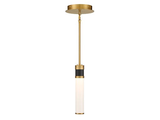 Abel LED Mini Pendant in Matte Black with Warm Brass Accents