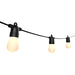 15 Light Outdoor String Light in Black