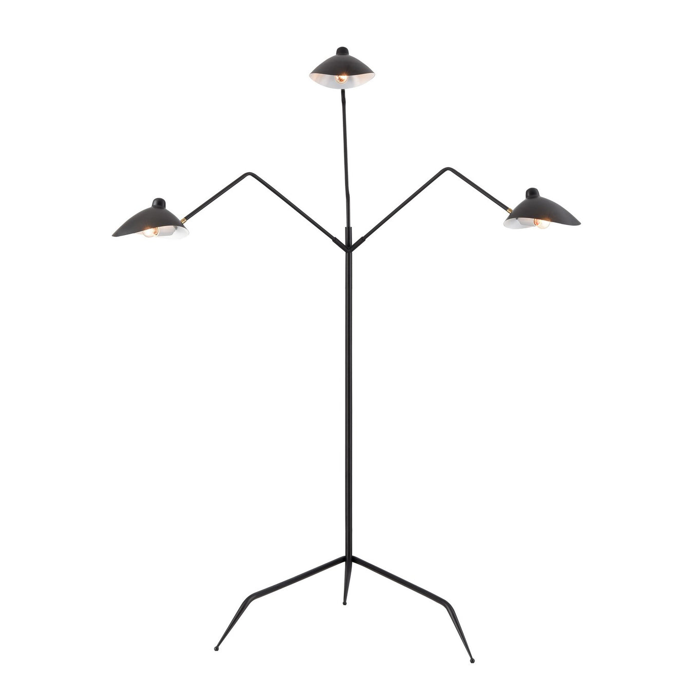 Risley Three Light Floor Lamp in Black