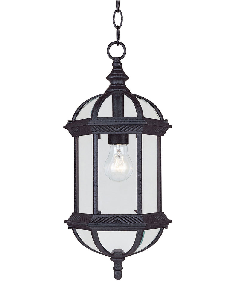 Kensington 1-Light Outdoor Hanging Lantern in Textured Black