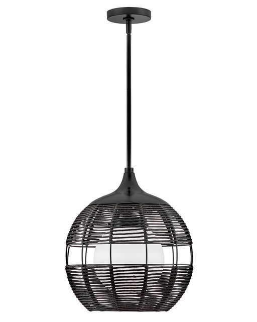 Maddox LED Pendant in Black by Hinkley Lighting