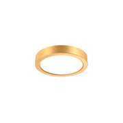 LED Flushmount in Gold