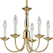 Five Light 5-Light Chandelier in Polished Brass