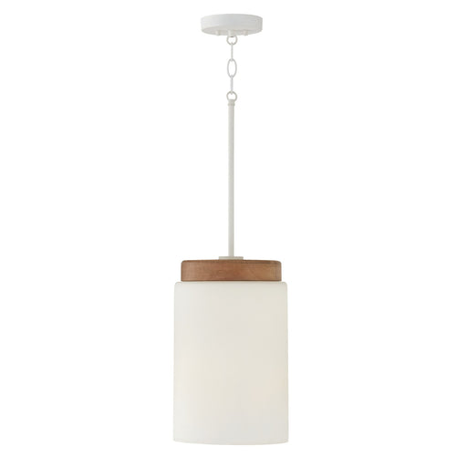 Liam One Light Pendant in Light Wood and White