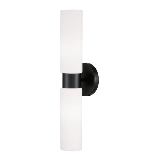 Theo Two Light Wall Sconce in Matte Black