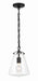 Voss 1-Light Mini Pendant in Matte Black by Crystorama - MPN VSS-7003-MK