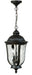 Frances 2-Light Pendant in Oiled Bronze Outdoor with Clear Hammered Glass
