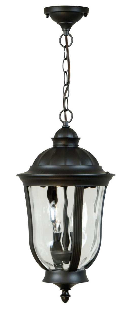 Frances 2-Light Pendant in Oiled Bronze Outdoor with Clear Hammered Glass