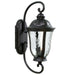 Frances 3-Light Wall Lantern in Oiled Bronze Outdoor