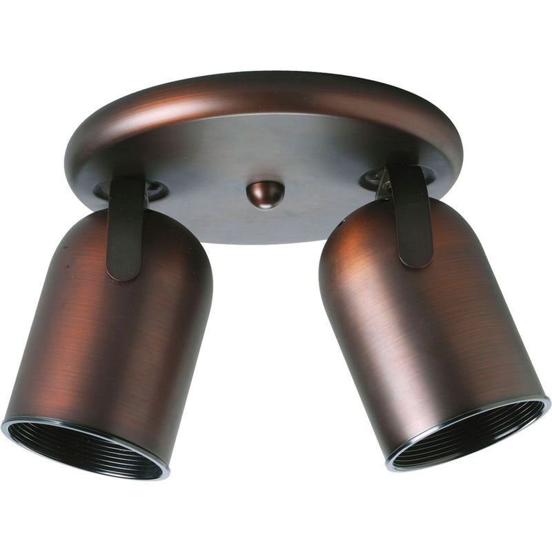 2-Light Multi Directional Roundback Wall/Ceiling Fixture in Urban Bronze