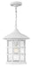 Freeport Large Hanging Lantern in Classic White