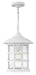 Freeport Large Hanging Lantern in Classic White
