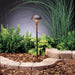 Eclipse Path & Spread 12V 1-Light in Textured Tannery Bronze