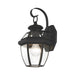Monterey 1 Light Outdoor Wall Lantern in Black