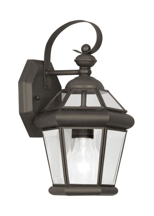 Georgetown 1 Light Outdoor Wall Lantern in Bronze