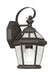 Georgetown 1 Light Outdoor Wall Lantern in Bronze