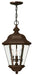 Clifton Park Medium Hanging Lantern in Copper Bronze