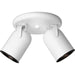 2-Light Multi Directional Roundback Wall/Ceiling Fixture in White