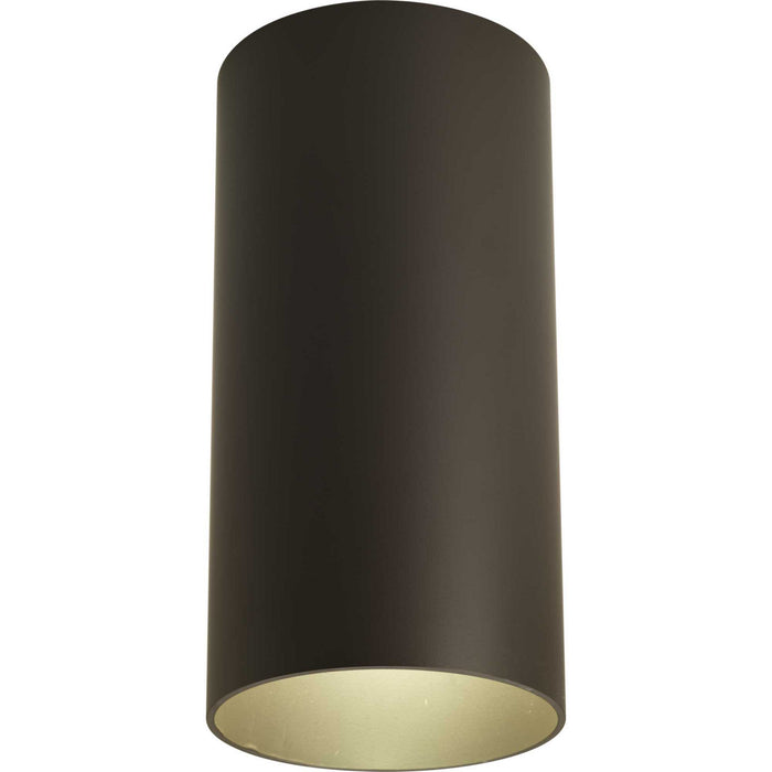 Outdoor Ceiling Mount Cylinder in Antique Bronze