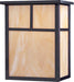 Coldwater 2-Light Outdoor Wall Lantern in Burnished