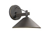 Ripley Indoor/Outdoor Wall 1-Light in Olde Bronze
