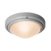Oceanus Marine Grade Wet Location Ceiling or Wall Fixture in Satin Finish - Lamps Expo