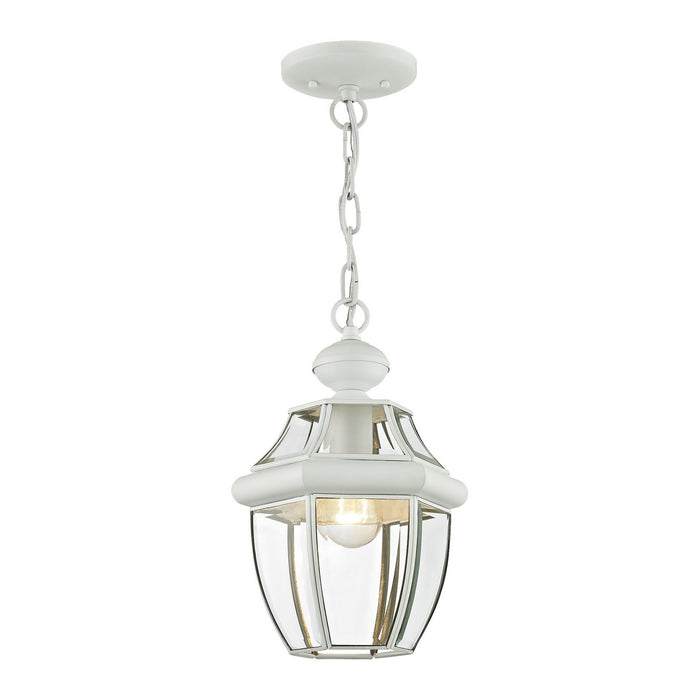 Monterey 1 Light Outdoor Chain Lantern in White
