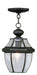 Monterey 1 Light Outdoor Chain Lantern in Black