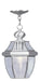 Monterey 1 Light Outdoor Chain Lantern in Brushed Nickel
