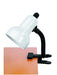 Clip-On Desk Lamp in White