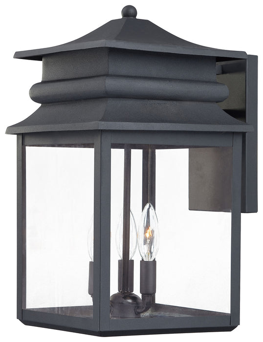 Two Light Outdoor Fixture in Black - Lamps Expo