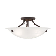 Oasis 3 Light Ceiling Mount in Bronze