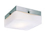 Cuvee 1-Light Flushmount in Brushed Nickel - Lamps Expo