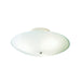 Utilitarian Ceiling Space Flush Mount Light in White - Lamps Expo