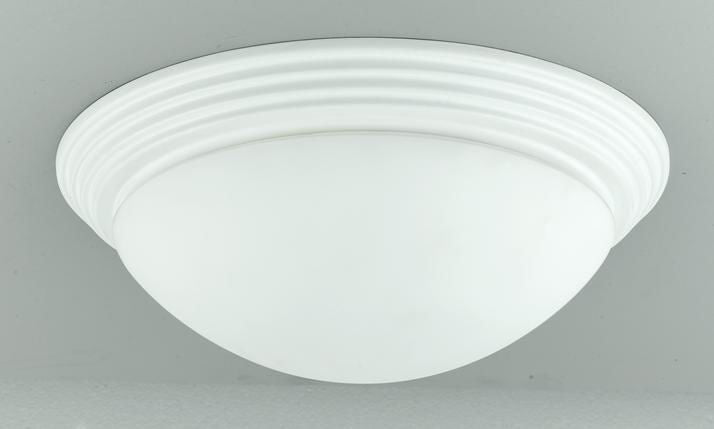 Ceiling Two Light Ceiling Mount In White