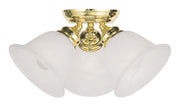 Essex 3 Light Ceiling Mount in Polished Brass