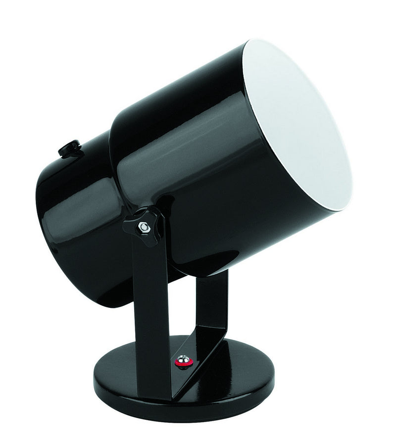 PinUp Flush Mount in Black - Lamps Expo