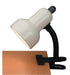 Gooseneck Clip On Desk Lamp in Ivory, E27, CFL 13W
