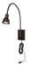 LED Gooseneck One Light Wall Lamp In Rust