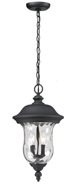 Armstrong 2 Light Outdoor Chain Light in Black